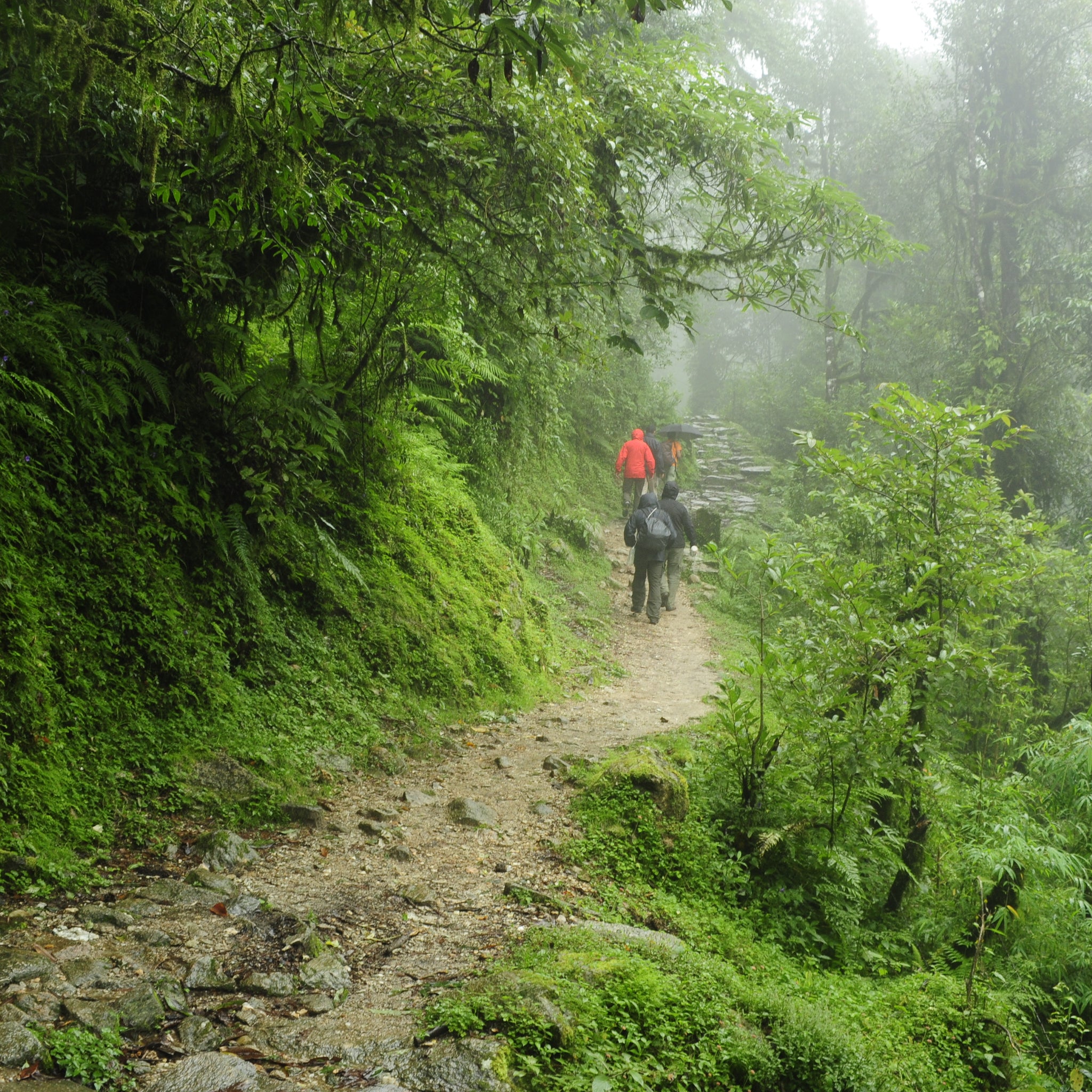 Exploring Wildlife During Monsoon Treks with Clawear Clothes