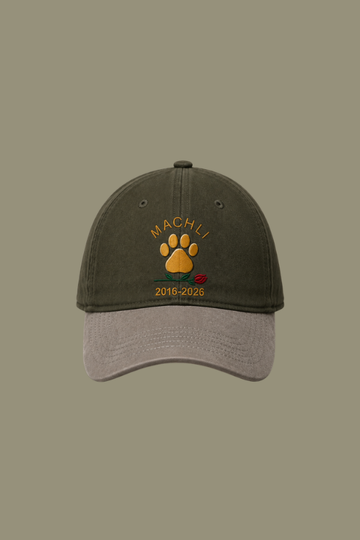 Nalla's Ark Machli - Crown