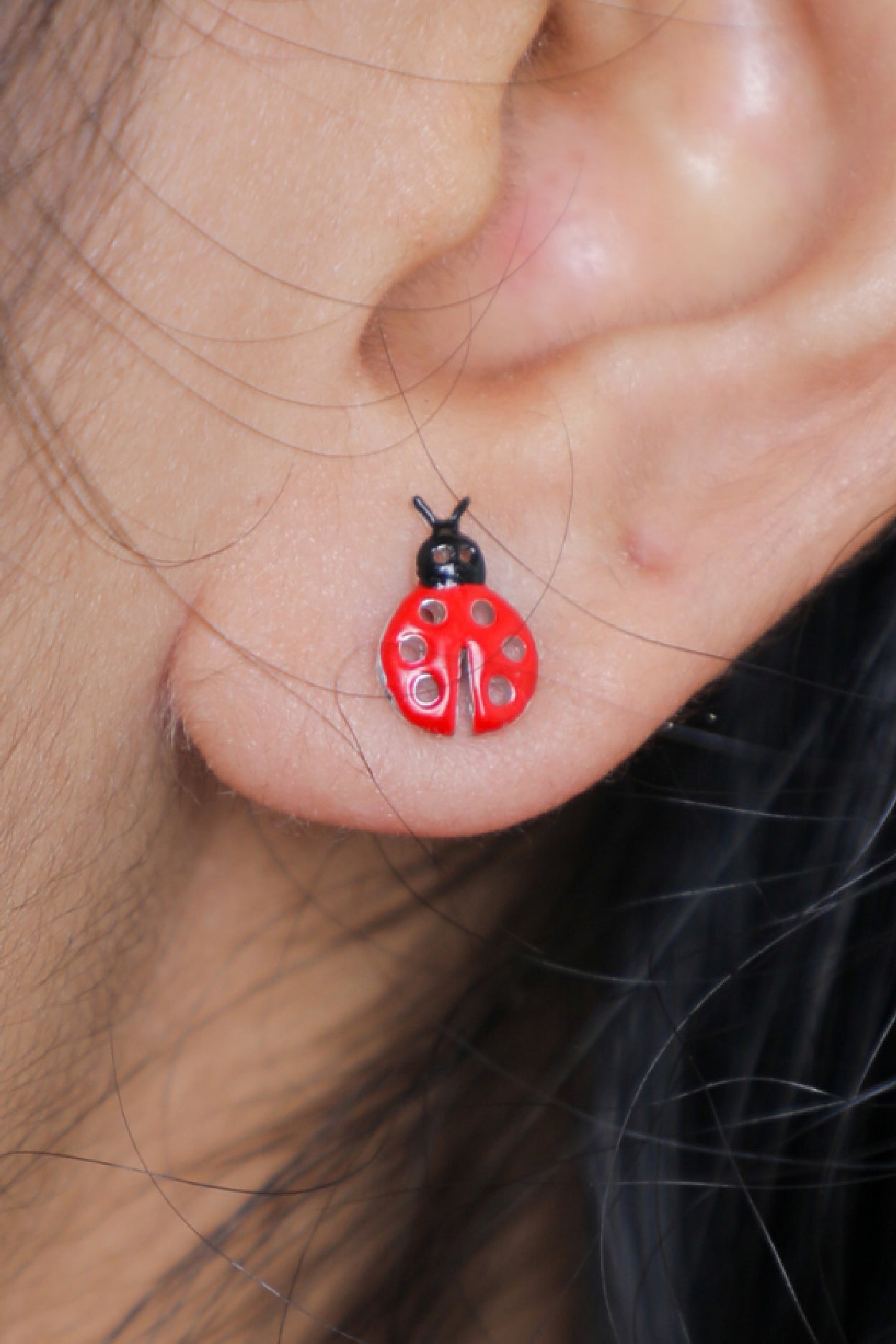 Wild Earrings - Lady Bug