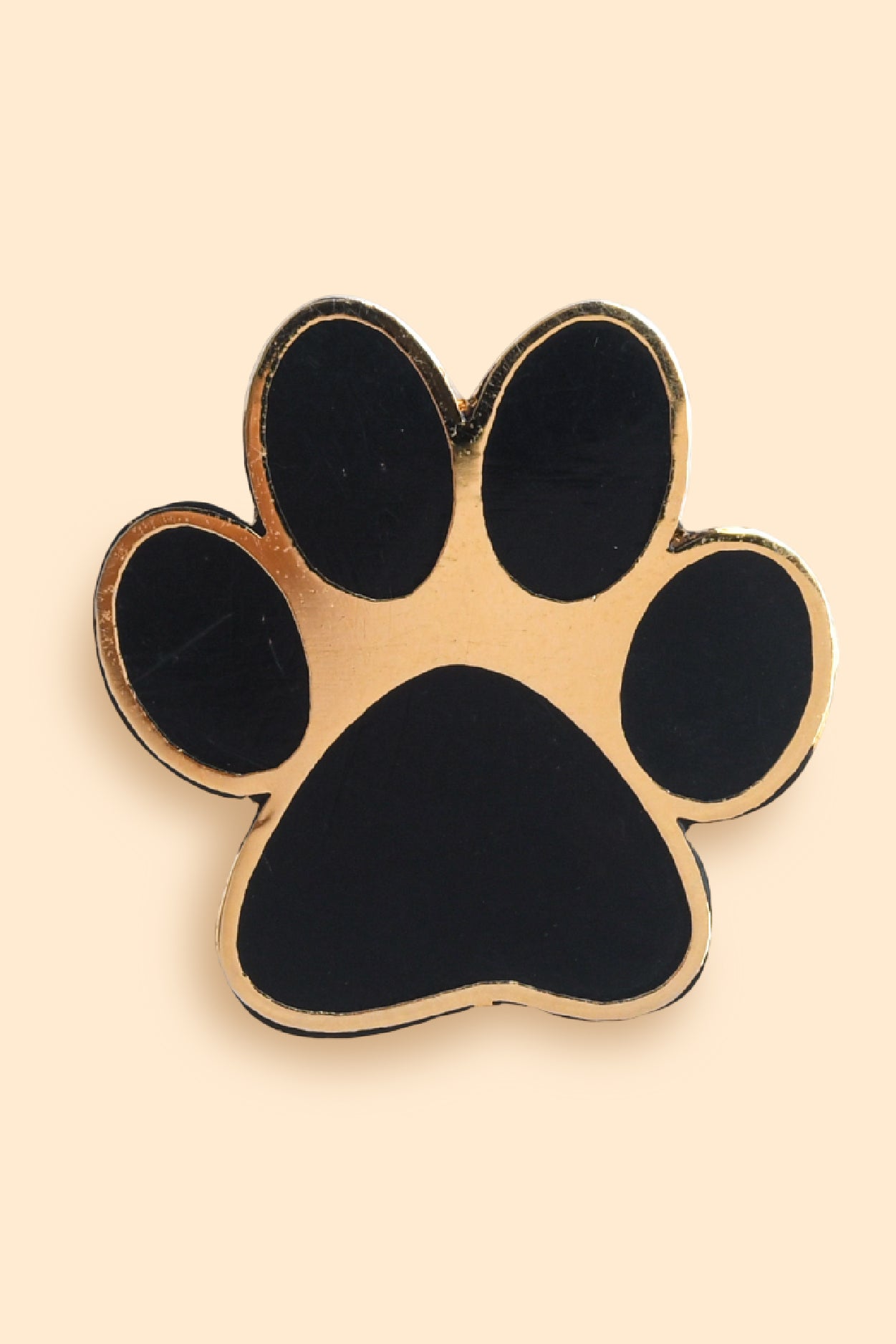 Wild Lapel Pin - Paw